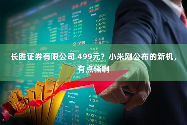 长胜证券有限公司 499元？小米刚公布的新机，有点骚啊