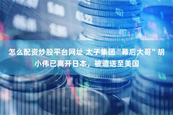 怎么配资炒股平台网址 太子集团“幕后大哥”胡小伟已离开日本，被遣送至美国
